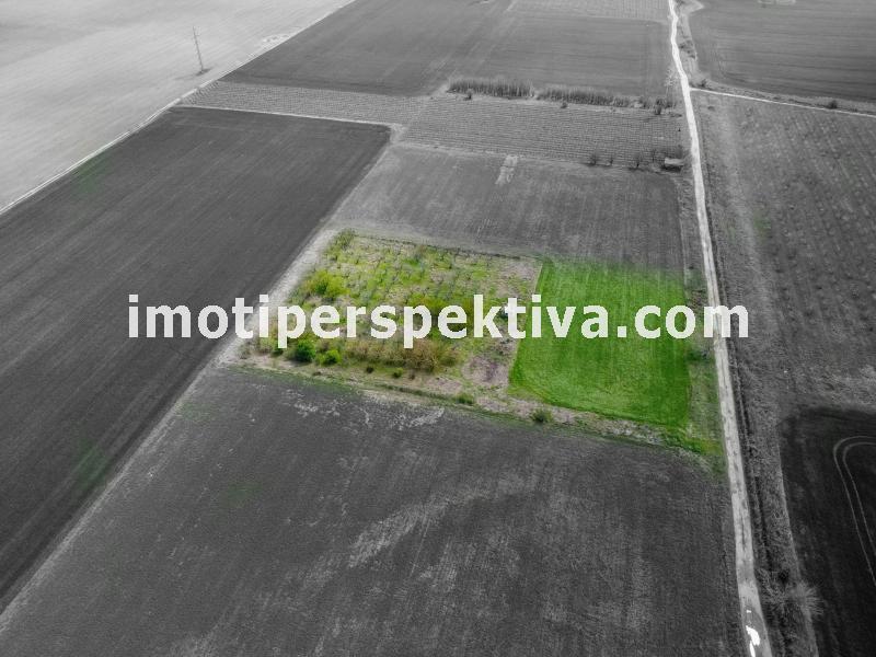 Перспектива - недвижими имоти в Пловдив