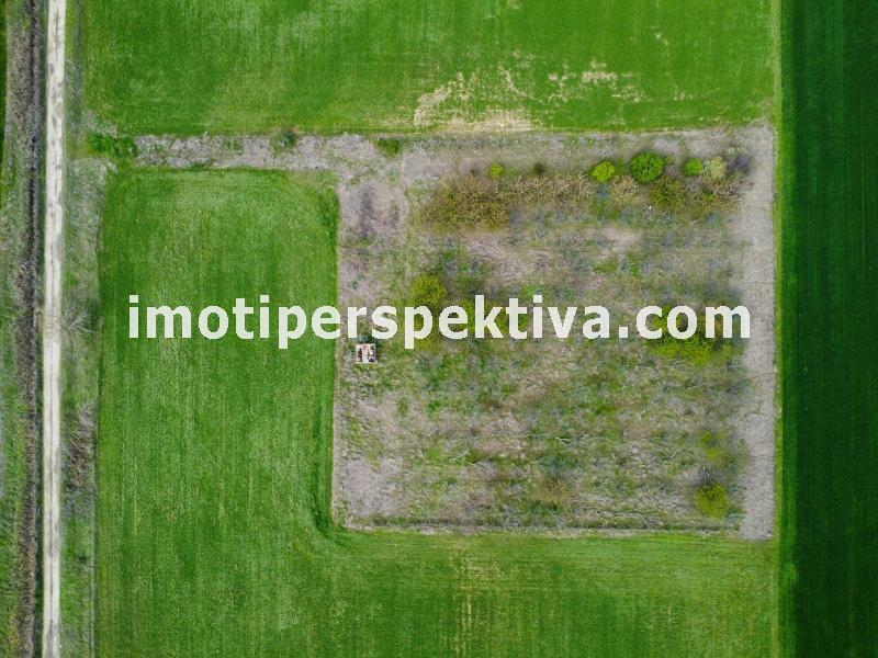Перспектива - недвижими имоти в Пловдив
